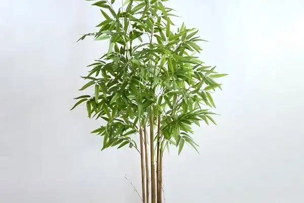 The Low-Maintenance Charm of Small Artificial Bamboo Plant